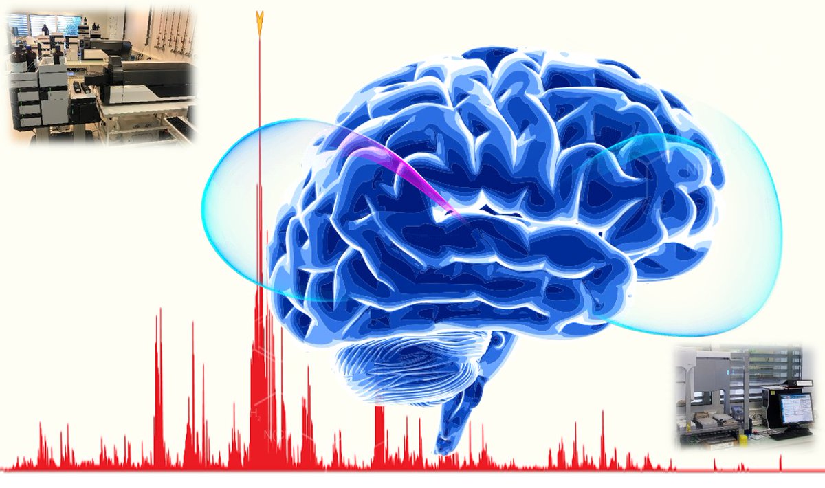 Here we are ! Neuroproteomics platform <a href="/Proteinopat_INM/">Team Proteinopathies INM</a> <a href="/INM_Montpellier/">INM_Montpellier</a>