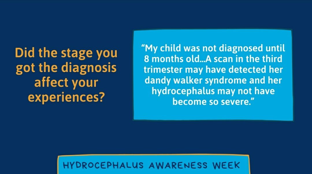 Harry's HAT Charity tweet media