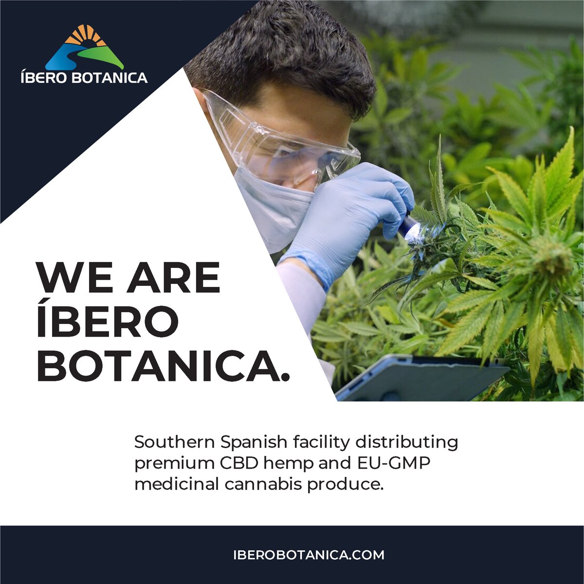 IberoBotanica's tweet photo. We are Íbero Botanica!

✅ Ideal climate 
✅ Access to the EU markets 
✅ A 40,000sqm cultivation facility producing high-grade #CBDhemp and eventually #THC flower 

Check out our website:
https://t.co/poaAVJWwtf

#cannabisindustry #cbd #jpdcapital #verdexgroup https://t.co/0dTKkoakD2