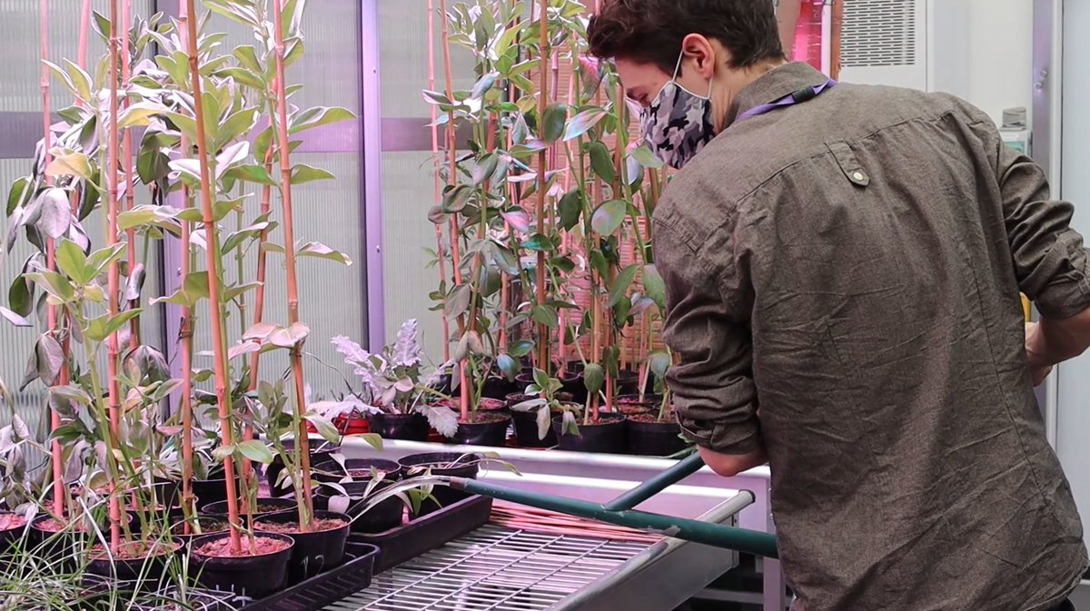 FBMH_UoM's tweet photo. BioDiscovery aims to encourage enthusiasm, fun and discovery in the Biological &amp; Biomedical Sciences offering an inspirational exploration of Science. This #BritishScienceWeek, check out our online resources: https://t.co/rglkrbLBGs
@OfficialUoM @sschaudhry @UoMEngage @UoMSchools https://t.co/8aSaKdtDxP