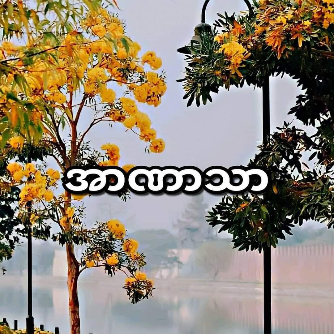 DawThazinHtun1's tweet photo. #နွေဦးတော်လှန်ရေး
#MyanmarRevolution2021
#WeWantDemocracy
#WeNeedR2PInMyanmar
#CivilDisobedienceMovement
#ရုံးမတက်နဲ့ရုံးထွက်
#CDMSupport
#WeSupportCRPH
#WeStandWithCRPH
#WeStandWithDrSaSa
#WeStandWithUKyawMoeHtun
#WeNeedUNInMyanmar
#JusticeForMyanmar
#WhatIsHappeningInMyanmar https://t.co/H3qvgEjUCI