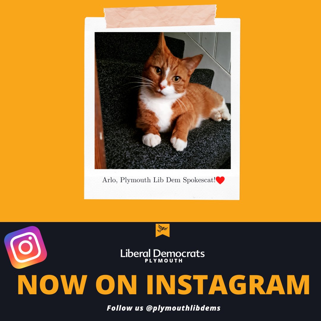 PlymouthLibDems's tweet photo. #plymouth #plymouthlibdems #plymstock #plymstockdunstone #devon #devonlibdems @LibDems https://t.co/KAFejVqnNP