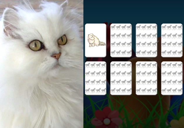 smokeyadventure's tweet photo. Letโs #testyourmemory! How quickly can you find Portia and her friends hiding behind the cards? https://t.co/WRulXzY0Q0 To learn more about Portia, please visit our website at https://t.co/WG7e0oCH7F https://t.co/IbcSNi6fvY