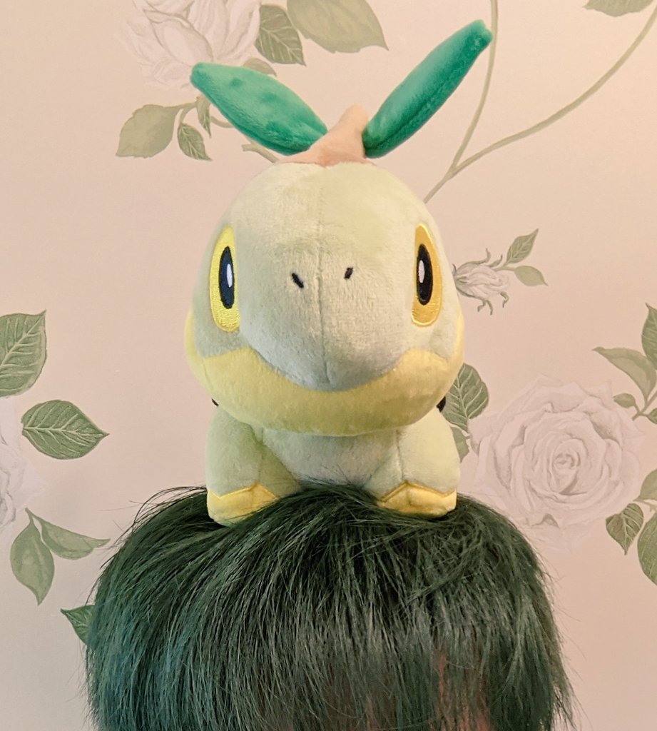 ポケモンgo ナエトルの入手方法 能力 技まとめ 攻略大百科 ポケモンgo ナエトルの入手方法 能力 技まとめ 攻略大百科