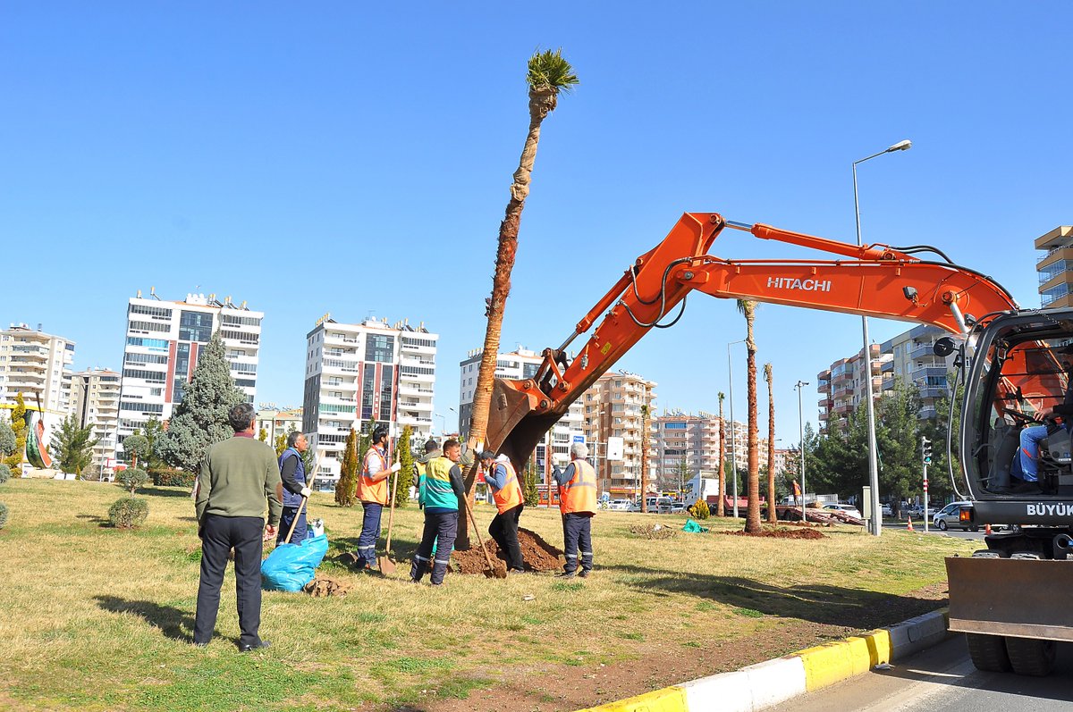 diyarbakir buyuksehir belediyesi a twitter mahabad bulvarinin havasi degisti vatandaslarimizin taleplerini dikkate alarak dunya kavsagi na diktigimiz palmiye agaclari kentte ayri bir renk katti kis aylarinda agaclari korumak icin onlemler