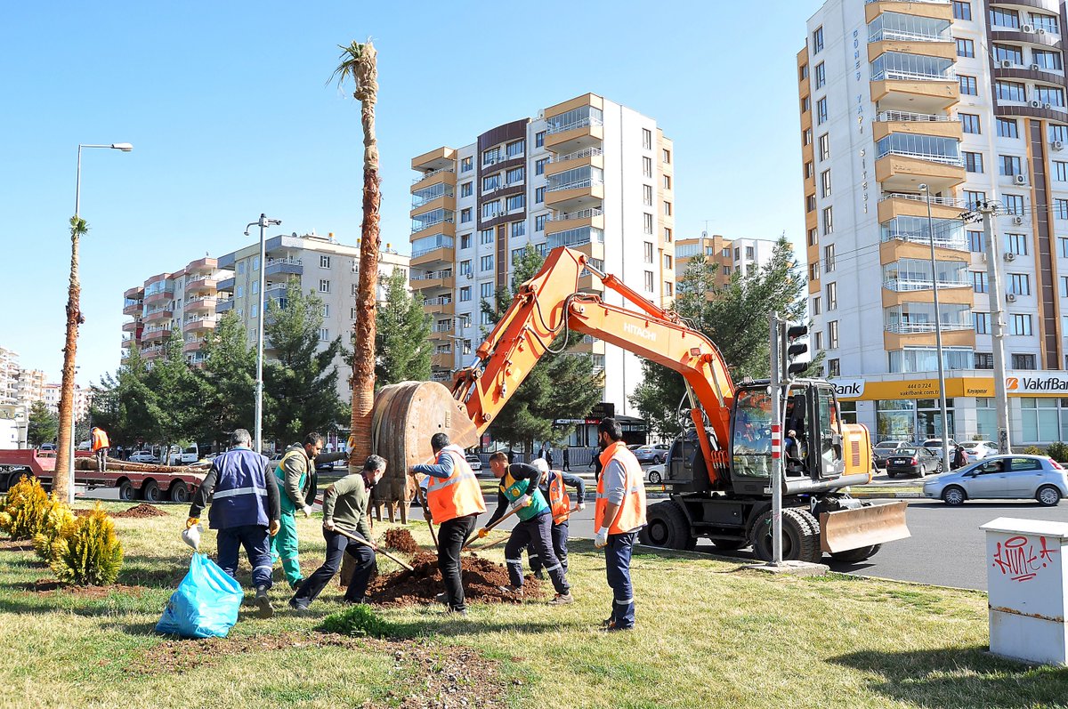diyarbakir buyuksehir belediyesi a twitter mahabad bulvarinin havasi degisti vatandaslarimizin taleplerini dikkate alarak dunya kavsagi na diktigimiz palmiye agaclari kentte ayri bir renk katti kis aylarinda agaclari korumak icin onlemler
