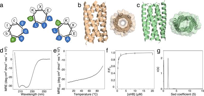 Nature Communications (@naturecomms) on Twitter photo New work from Dek Woolfson’s lab: Structural resolution of switchable states of a de novo peptide assembly WoolfsonLab <a href="/BristolChem/">Bristol Chemistry</a> <a href="/BrisBioDesign/">Bristol BioDesign Institute</a> <a href="/BristolBiochem/">Bristol Biochemistry</a> @Will_M_Dawson <a href="/Eric_jm_lang/">Eric J. M. Lang</a> @Guto_Rhys <a href="/AdrianMulholla1/">Adrian Mulholland</a>
go.nature.com/3t5eG2H New work from Dek Woolfson’s lab: Structural resolution of switchable states of a de novo peptide assembly WoolfsonLab <a href="/BristolChem/">Bristol Chemistry</a> <a href="/BrisBioDesign/">Bristol BioDesign Institute</a> <a href="/BristolBiochem/">Bristol Biochemistry</a> @Will_M_Dawson <a href="/Eric_jm_lang/">Eric J. M. Lang</a> @Guto_Rhys <a href="/AdrianMulholla1/">Adrian Mulholland</a>
go.nature.com/3t5eG2H