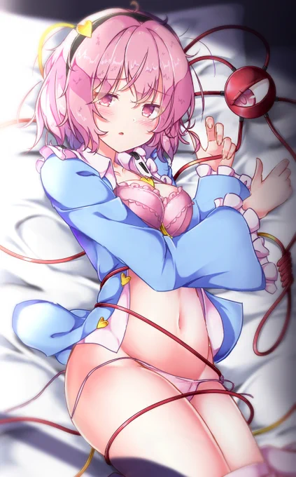 #3月10日はさとりの日 
地霊殿銘菓さとりパイ 