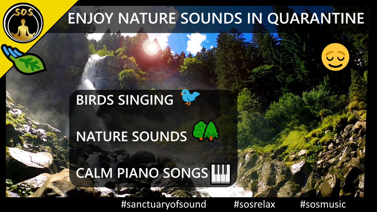 SanctuaryofSoul's tweet photo. 30 Minutes of Nature, Bird Songs and Piano Songs 🎹 
#sanctuaryofsound #sosmusic #sosrelax 

--> https://t.co/RVzzk2Gk6i https://t.co/fs0Mv2GhCI