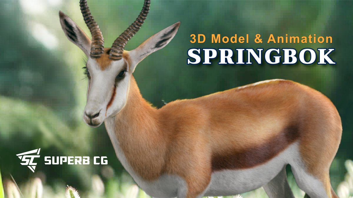 CgSuperb's tweet photo. This is a high-quality springbok model with rigging, animation, fur, and multiple texture maps. It is made with #Blender and #Cycles renderer in real-world scale.
👉 https://t.co/a8JyTrIX1F
👉 https://t.co/djZG3TdGYr
#3d #3dmodel #cg #blender #superbcg https://t.co/vYlfrvgLL1