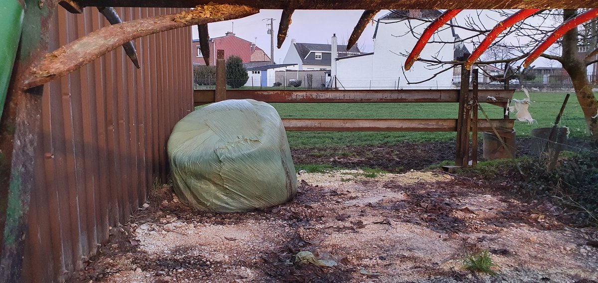 Le 10 novembre dernier, je récoltais mon couvert végétal afin de l'enrubanner. Hier j'ai distribué aux vaches la dernière boule. Grâce à cette récolte, j'ai pu sécuriser mon stock de fourrage, et limiter les impacts liés à la sécheresse et ainsi éviter des achats de fourrages.