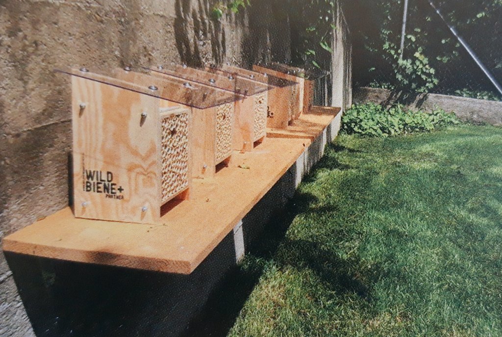 botschaftbern's tweet photo. Die Botschaft Bern engagiert sich dafür, dass unser Handeln nachhaltiger wird. Wir pflanzen Bäume, fördern die Biodiversität mit Hilfe von Wildbienen 🐝 und helfen mit dem #greeningembassies Netzwerk Bern u.a.bei Projekten von @TrashHeroWorld . #sustainablediplo #SDGs tb https://t.co/TmJwr2Jt4Q