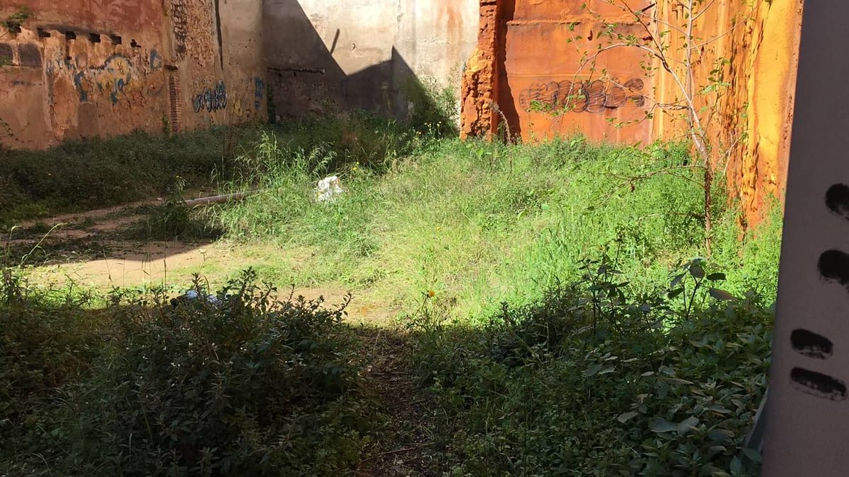 Sindicat D'habitatge Castelló tweet media