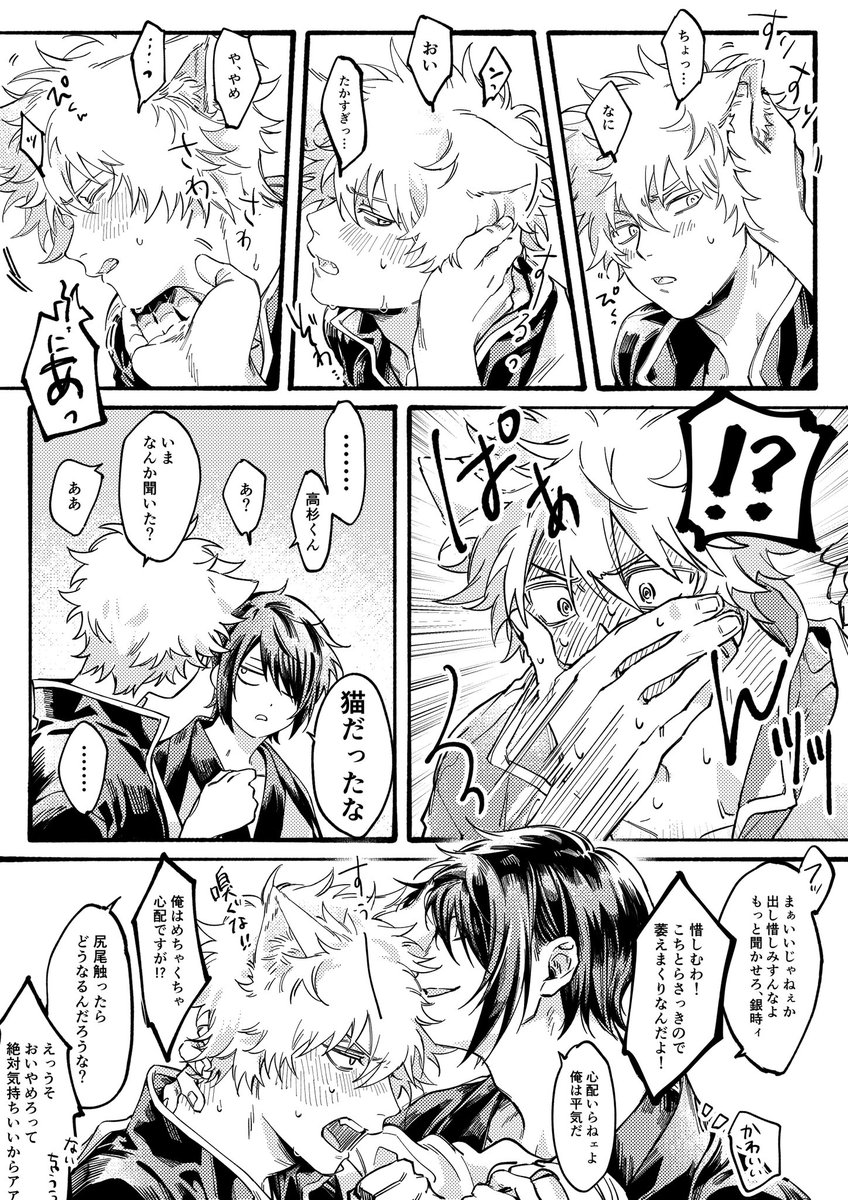 gumin_ginn's tweet image. 猫の日(に載せる予定だった)高銀漫画

遅刻どころの話じゃないけどそこは言わないで