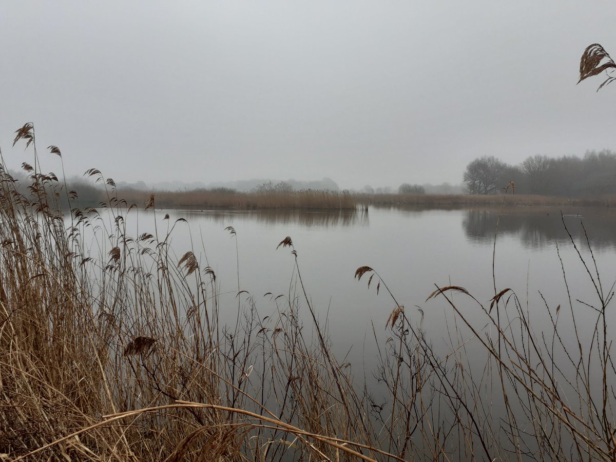 annekeepping's tweet photo. De #Veenhuizerstukken wat een geweldig mooi (vogel)gebied. #Staatsbosbeheer #Stadskanaal https://t.co/HY6KDHuZtc