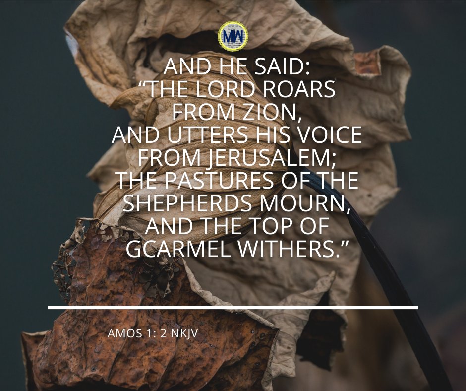 Today's Verse | And he said: “The Lord roars from Zion, And utters His voice from Jerusalem; The pastures of the shepherds mourn, And the top of Carmel withers.” - Amos 1: 2 NKJV