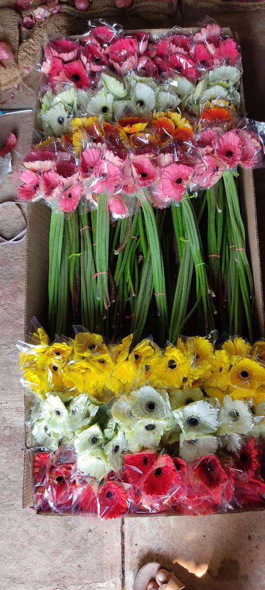 Connecting Farmers with New Markets:
Kisan Rail has emerged as fastest mode of transportation for perishable goods. 

650 Kgs flowers grown in Osmanabad &amp; Latur district were loaded first time in Kisan Rail from Kurduwadi over Solapur Division to Adarsh Nagar, Delhi.