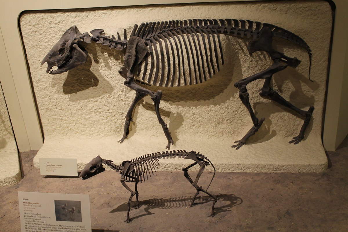 フミフミ🐍♋ on X