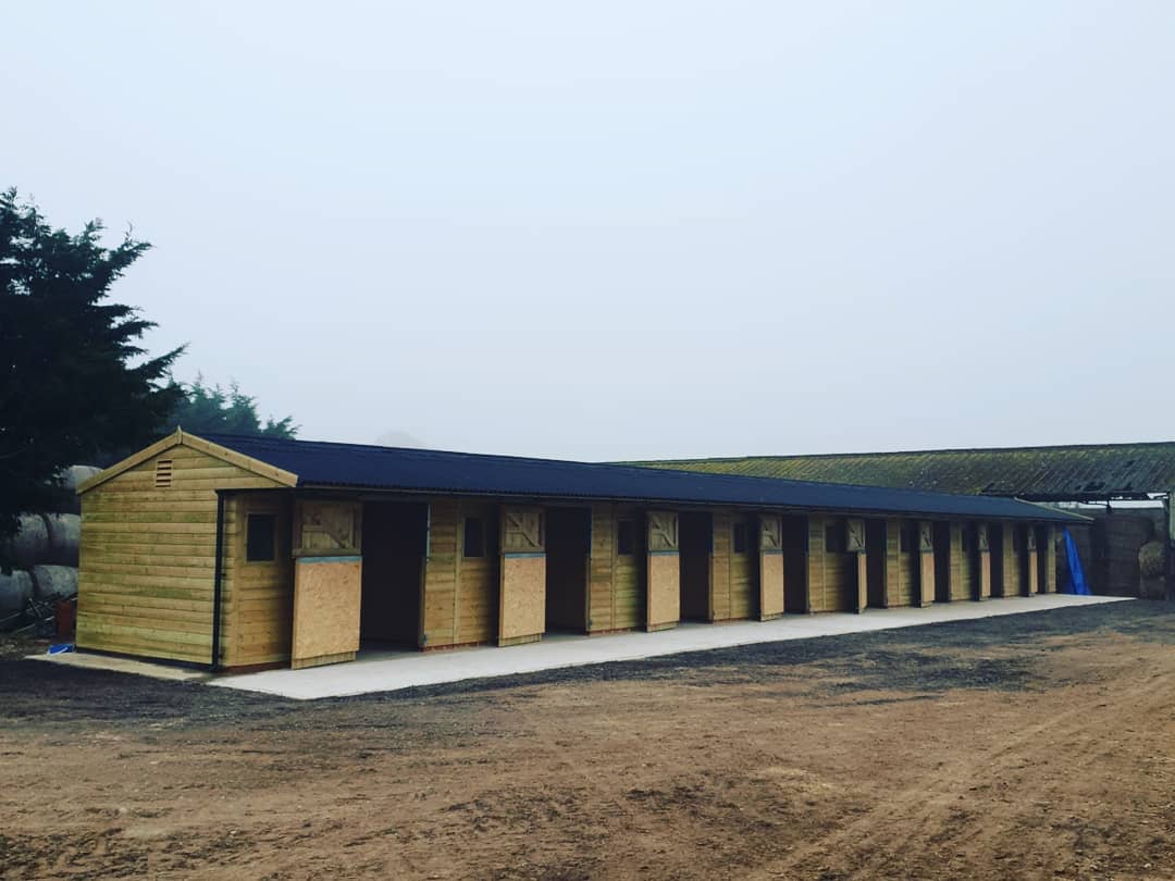 Equestrian_PC's tweet photo. Absolutely adore our new stable block, as do our lovely horses! #TeamPangbourne #newfacilities #newstables https://t.co/5IafbfFjg7