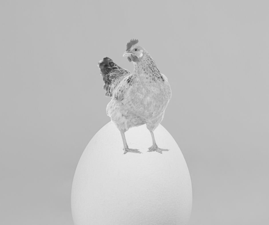 Disminuye tus ambiciones. Si eres gallina no te rompas el alma tratando de poner un huevo de avestruz.