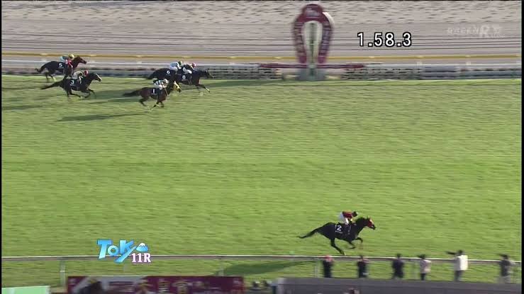 ひでまさねちか エイシンヒカリ 香港とフランスのg を逃げて勝った個性派 デビュー5戦目のアイルランドtでは右に寄れて寄れて寄れ続けて 一頭だけ外ラチ沿いまで斜行したが押し切って勝利 フランスg は8馬身差の圧勝で そのレースぶりが評価されて世界