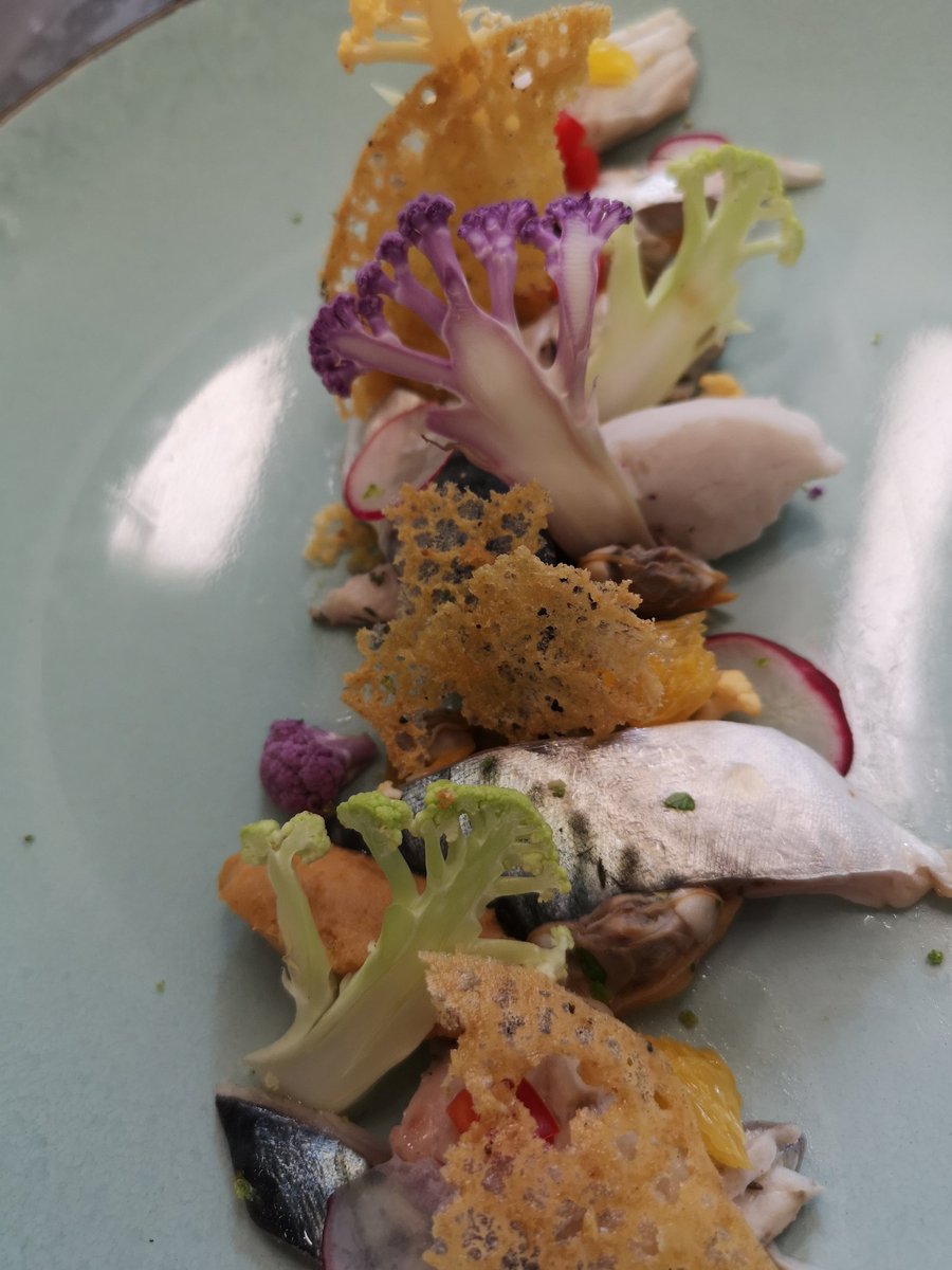 campus_mer's tweet photo. Au jury des sélections régionales du concours du meilleur apprenti de France classe cuisine. Des graines de chefs, cheffes, la parité était respectée. La Lisette au menu et les aspics de fruits. Félicitations aux 7 candidat(e)s. @acpoitiers https://t.co/QDaoZxlLqa