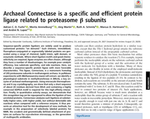 SchmitzStreits's tweet photo. Archaeal connectase - a valuable new tool for bioengineering (https://t.co/uL5XkplYVY). Great paper by @HartmannLab and Lupas Lab https://t.co/gXAOfGFEAj