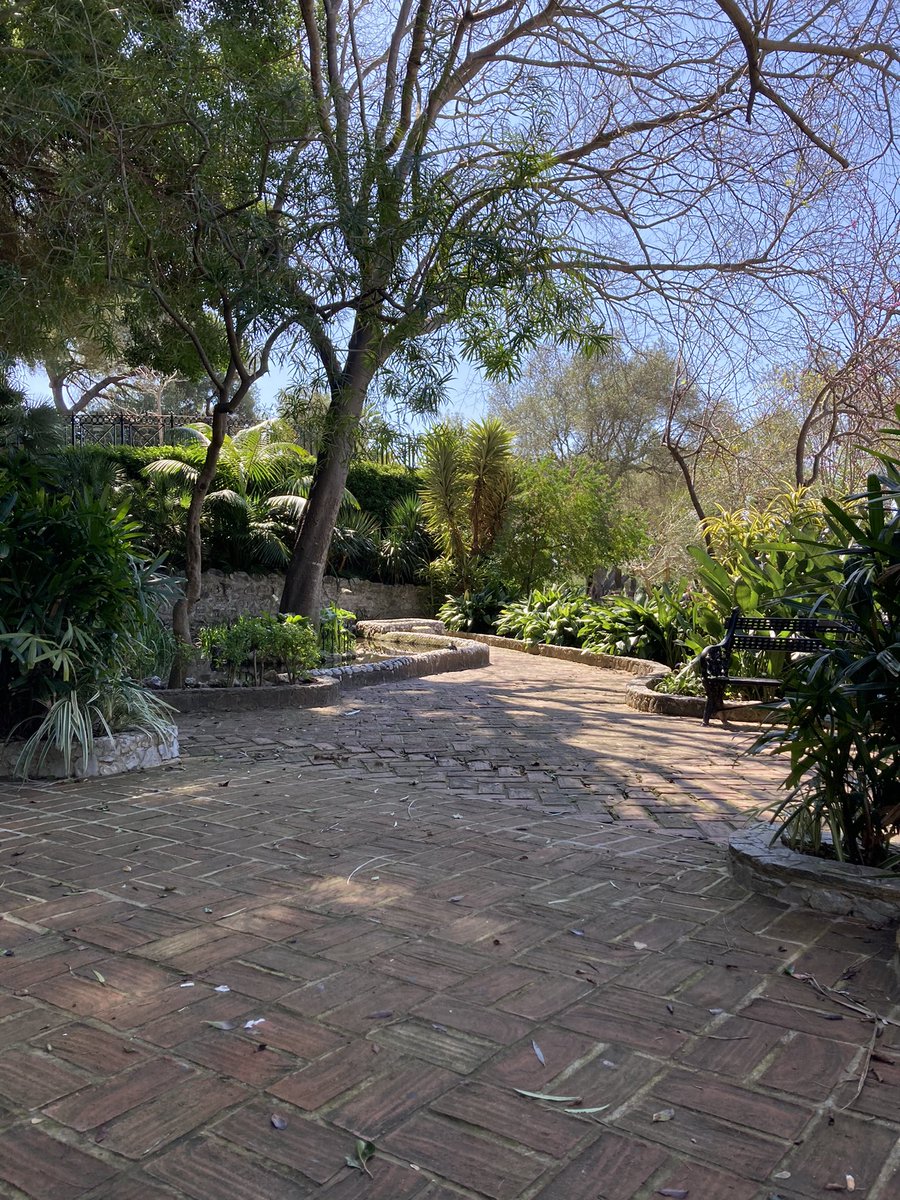 ClaireErialc77's tweet photo. Having lunch in the most beautiful spot 💕 birds are the only sounds around #nature #alameda #Gibraltar https://t.co/EeGJ3U2m3t