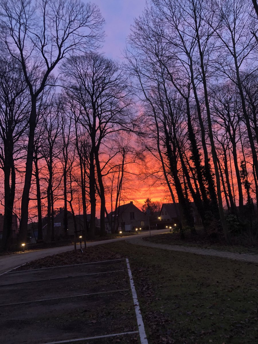 Freddy De Geest - Astene