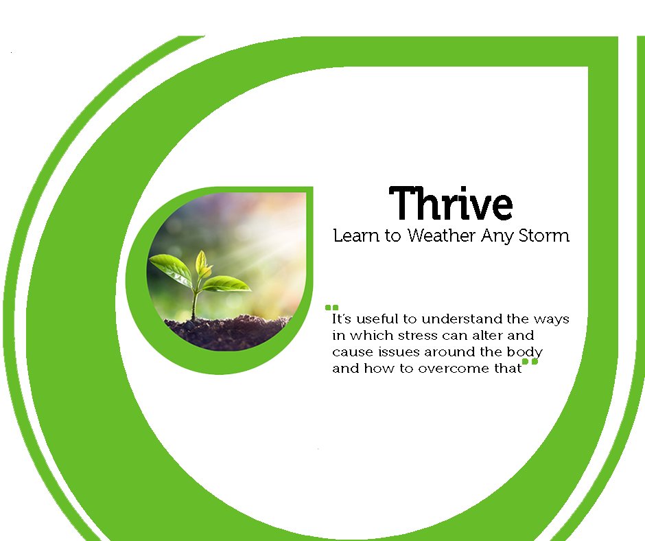 This short course 'Thrive: Learn to Weather Any Storm' teaches how to care for the whole self; brain, mind &amp; body and to develop the skills that will help you thrive both at home and in the workplace, no matter what comes your way!  ow.ly/bFBK50DpY96
#Whole-self #Thrive