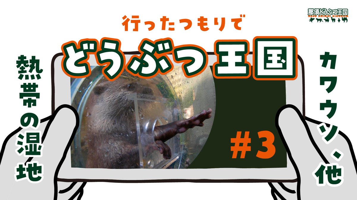 nasu animal kingdom tweet media