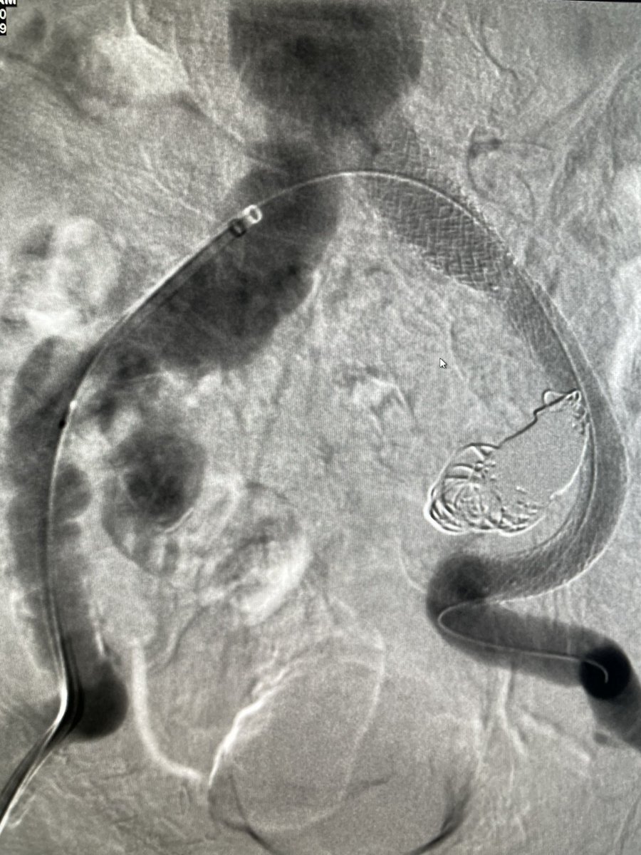 Omar Chohan, DO tweet media