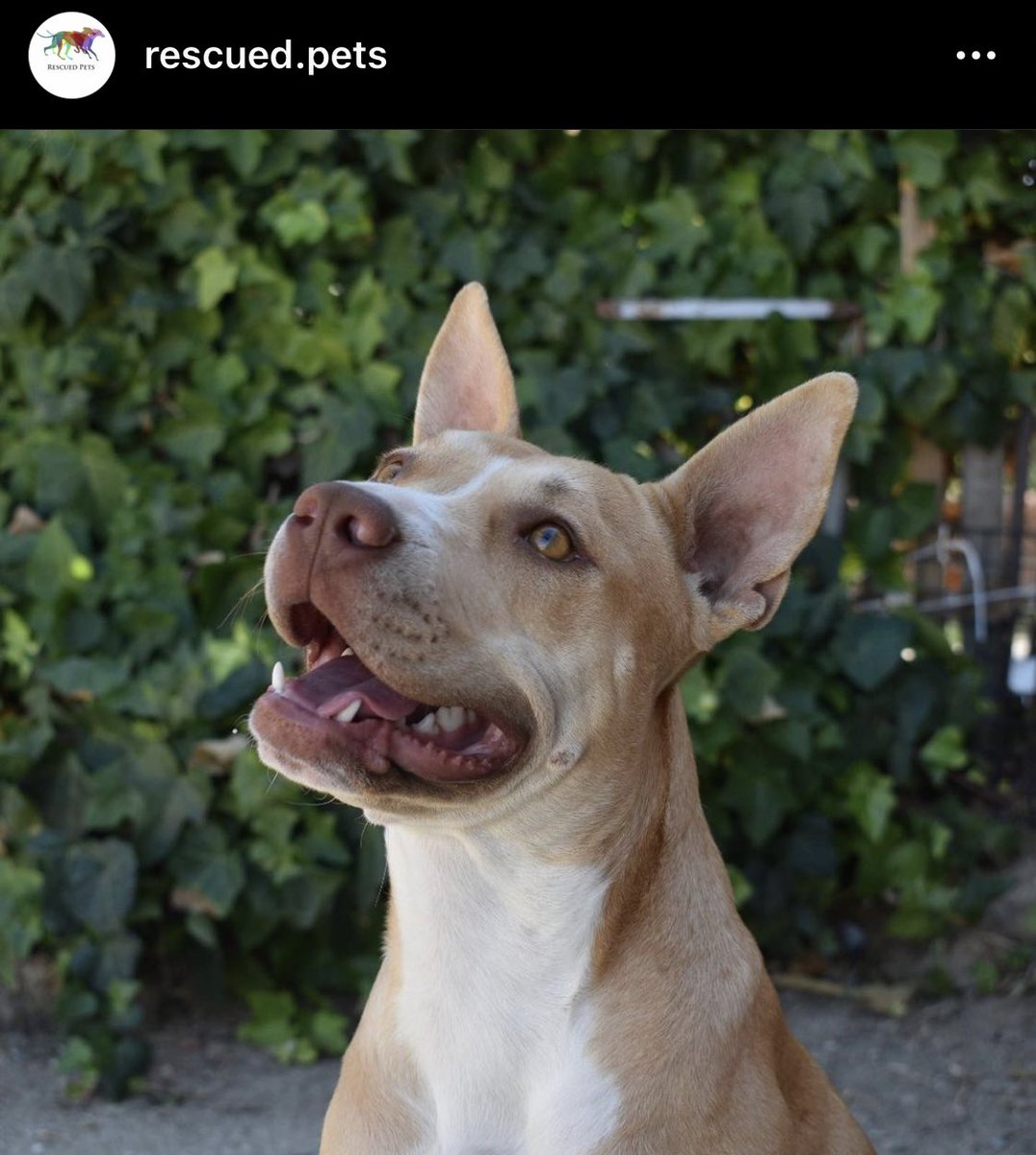 📸ELENA MARISCAL tweet media