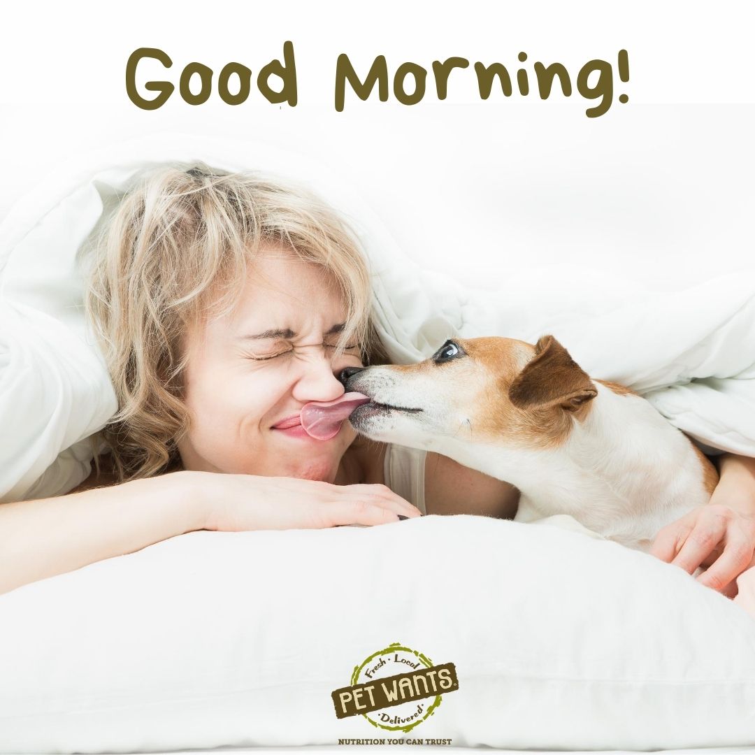 Mom, may I have my Pet Wants Chicken &amp; Brown Rice now?
..
petwantscincywest.com