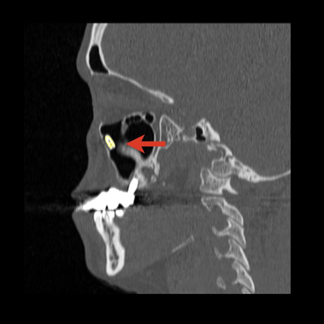 محمد بن صالح الشمراني tweet media
