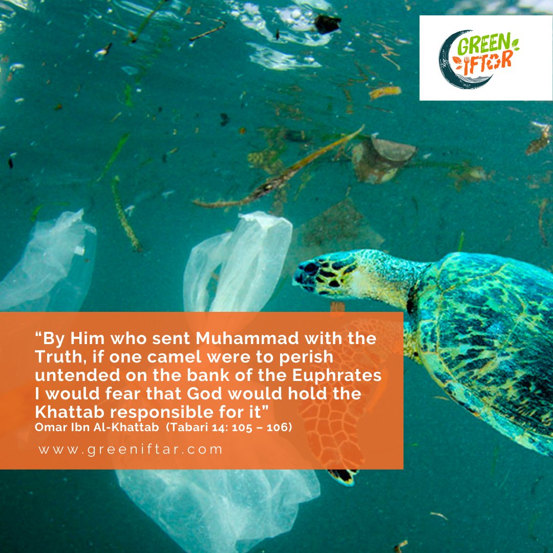 GreenIftar_'s tweet photo. #Reflecttheday🌱
🇬🇧Our consumption patterns often contribute to the destruction of habitats for many animals. 🐧🐢🐋Let's think about the animals in the sea and on land that suffer from the different kinds of 'waste' we produce. https://t.co/xyjSNGi9iI
