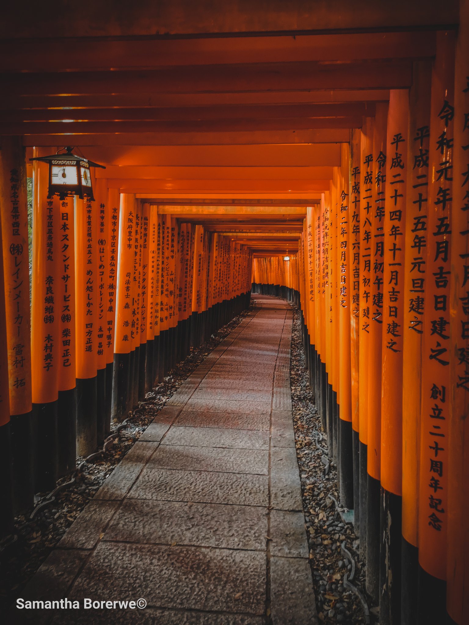 Samantha Borerwe I Have Seen Japan Through My Lens Places I Saw On Tv Surreal And Very Well Preserved Frames 1 3 And 4 Are All From My Phone Samantha Borerwe I Have Seen Japan Through My Lens Places I Saw On Tv Surreal And Very Well Preserved Frames 1 3 And 4 Are All From My Phone