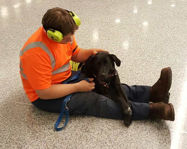 BUFAirport's tweet photo. This gets harder and harder each time. We are saddened to share that Ty crossed the rainbow bridge. 🌈 🐾

Ty became a @YourSPCA #Paws4Love volunteer in 2016 and loved visiting the airport. We hope you're swimming in treats and looking dapper 👔 as ever!

📸 : IG ty_wears_ties https://t.co/TgkaGjnR1g