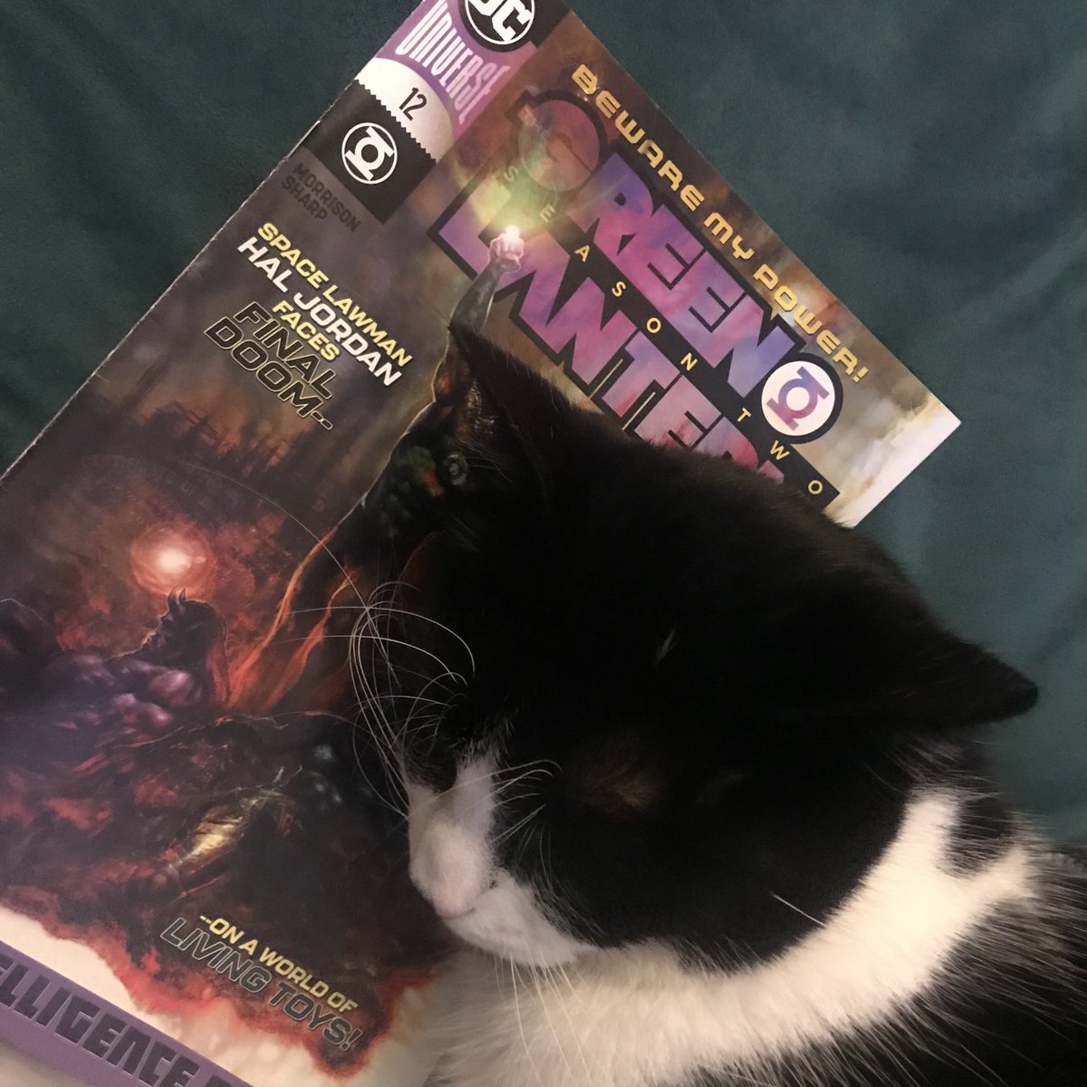Discovered! The cure for feline insomnia! 
The epic finale - Green Lantern #12 out now.  Grant, Liam and Hal are saying goodbye...
⁦<a href="/LiamRSharp/">Doc Sharpy</a>⁩ ⁦<a href="/DCComics/">DC Comics</a>⁩ 
#GreenLantern #DC #ultrawar