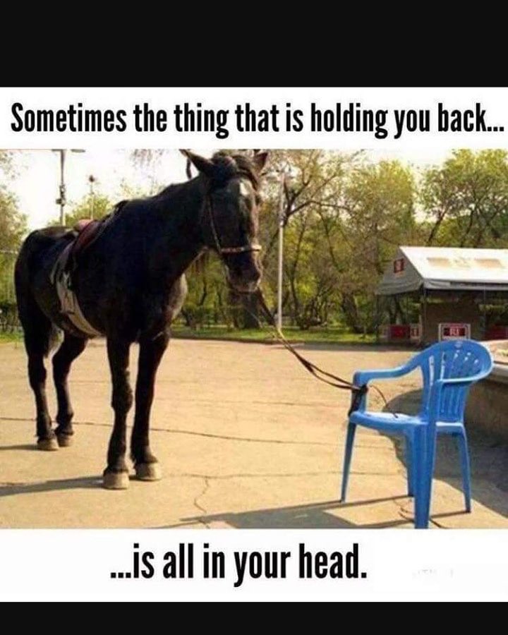 Mike Leach (@coach_leach) on Twitter photo 