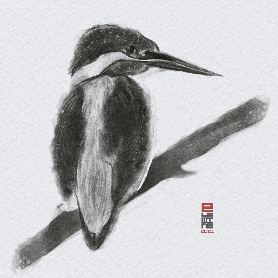 Elewine_'s tweet photo. #sketch #InkDrawing #digitalart https://t.co/EvnWCgHnmG