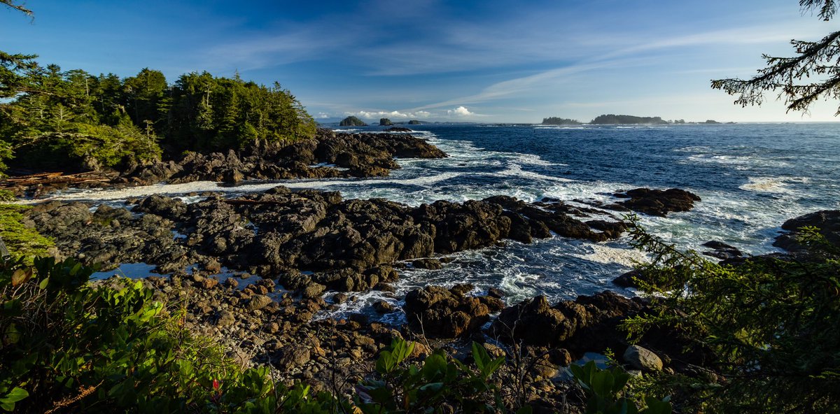 LunaaEthan's tweet photo. @ExploreCanada When most of the country is fighting their way out of winter, the West coat of Vancouver island is a sanctuary! #ucleulet #tofino #wildpacifictrail #pacificrimnationalpark #canadachat https://t.co/JHJyWSPtQD