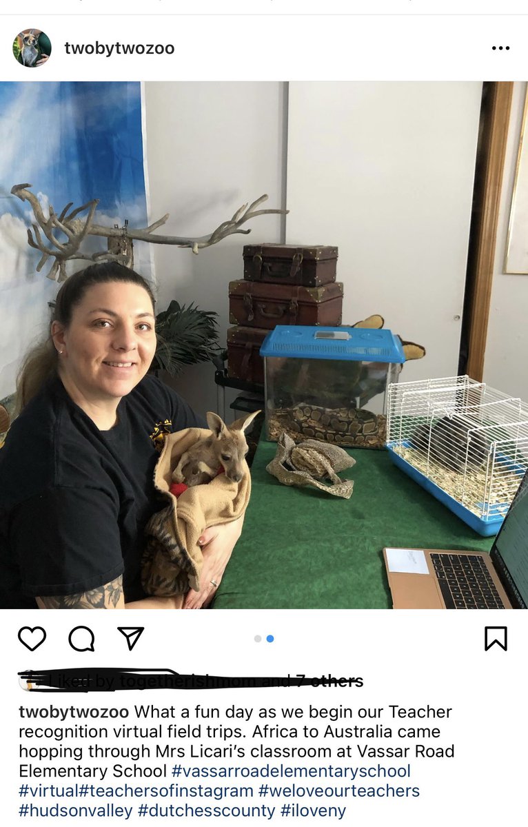 Kathleen Licari tweet media