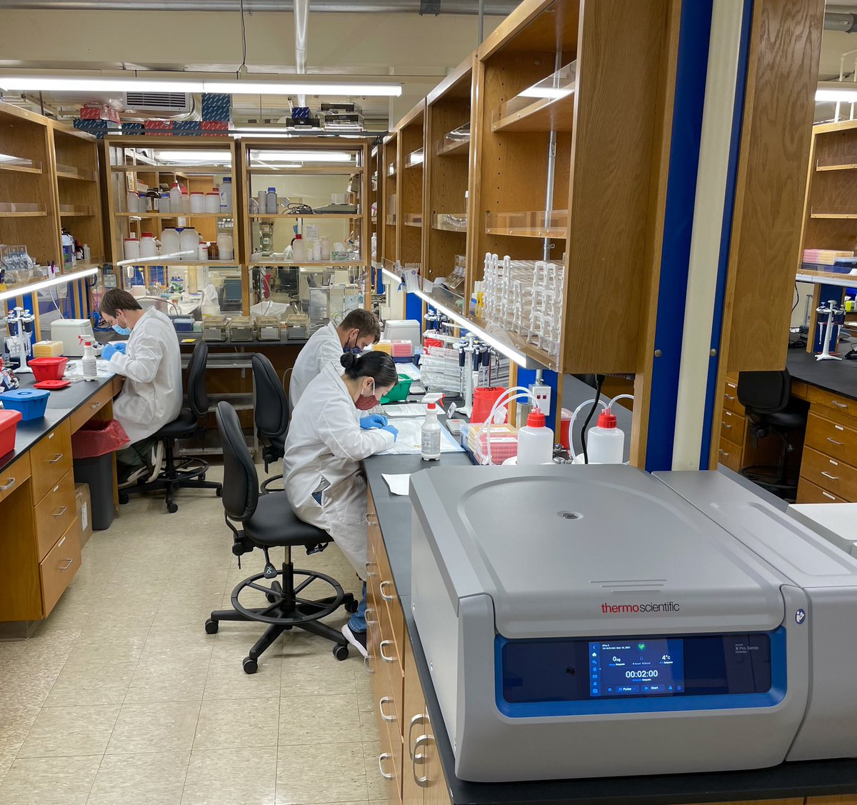 MGClab's tweet photo. ✅ Animal &amp; biosafety protocols approved
✅ Equipment &amp; supplies delivered
✅ Treatments completed
Ready to rock our first experiment! @Immuno_Mike 
@FlavianThelen @Jonyyboy_ @legoartoo @scrippsresearch https://t.co/Z5r7kwgcCo