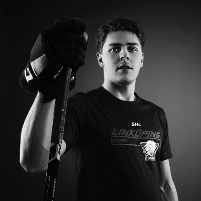 Max Lindroth tweet media