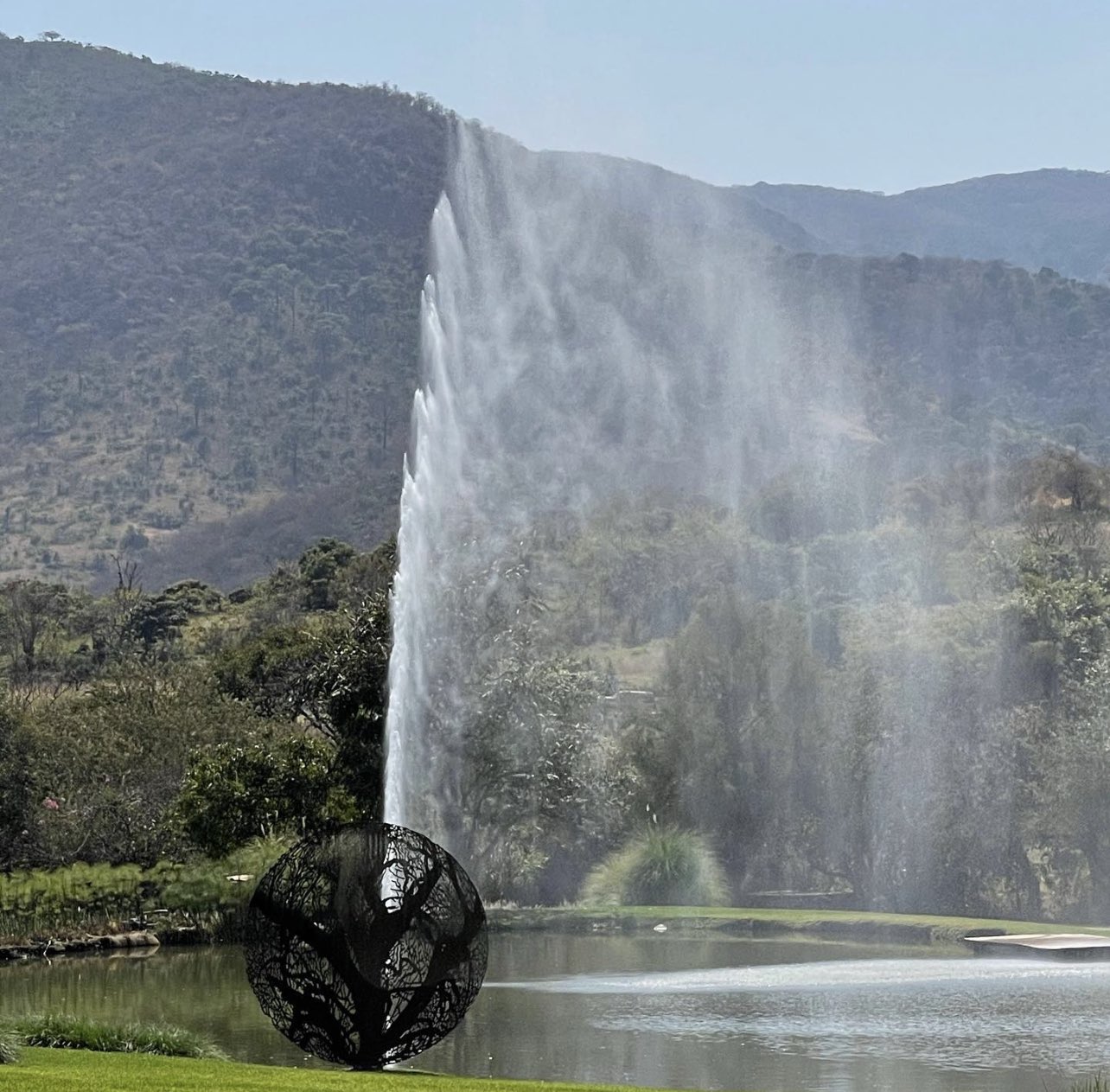 Ricardo Salinas Pliego on Twitter: &ldquo;#BuenasTardes tengo la sensación y