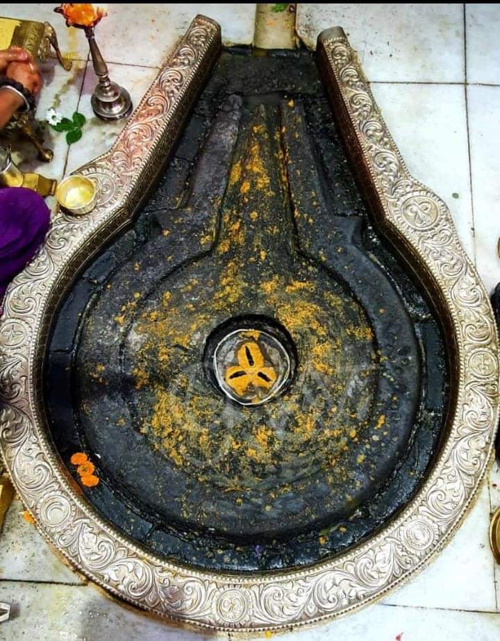 T 3838 - 

🙏🌹जय श्री त्र्यंबकेश्वर जी🌹🙏
🌹श्री त्र्यंबकेश्वर ज्योतिर्लिंग जी की मंगला दर्शन नासिक महाराष्ट्र से🌹
~ Ef ri J