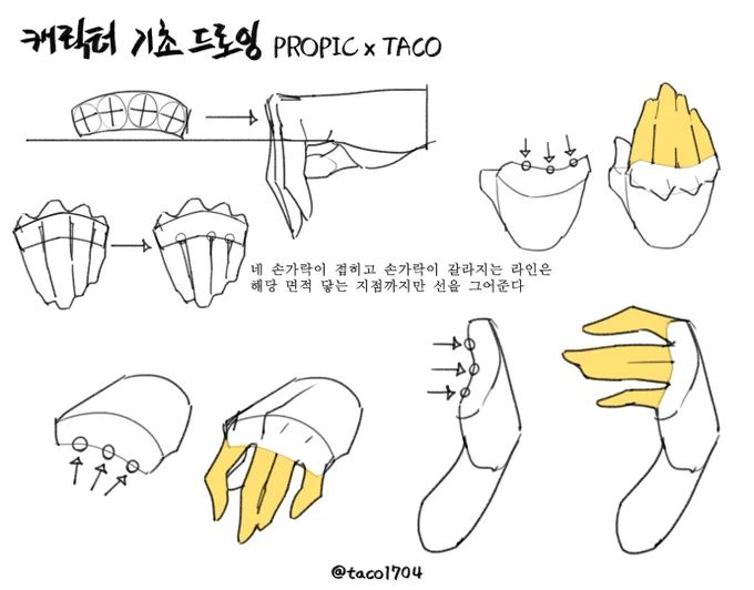 네 손가락이 접힐 때 손가락이 갈라지는 라인은 표시한 지점까지만 선을 그어준다 