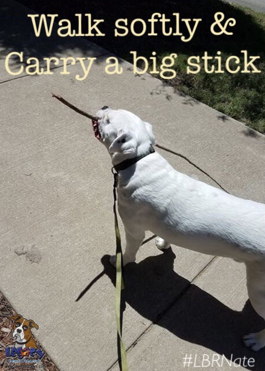 Carry a big stick!