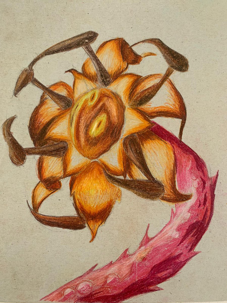 Boorekasgood's tweet image. Some flowers from @DeadByBHVR !!! These were made for my art class at school. Kinda proud of these two.
#DeadbyDaylight #dbdfanart #dbdblight